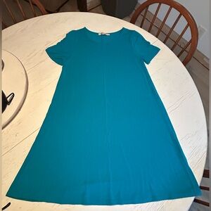 Aryeh Short Sleeve Jersey swing dress size medium